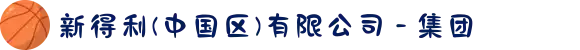 新得利(中国区)有限公司 - 集团